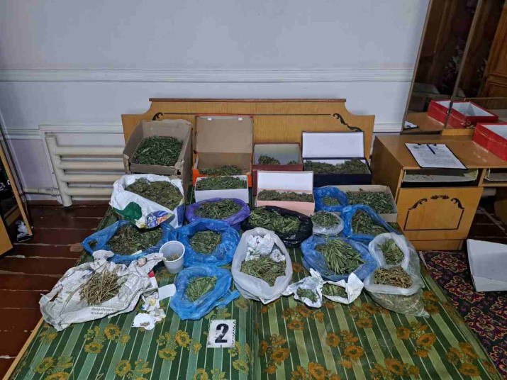 У жителя Самарканда изъяли более 2кг марихуаны - видео
