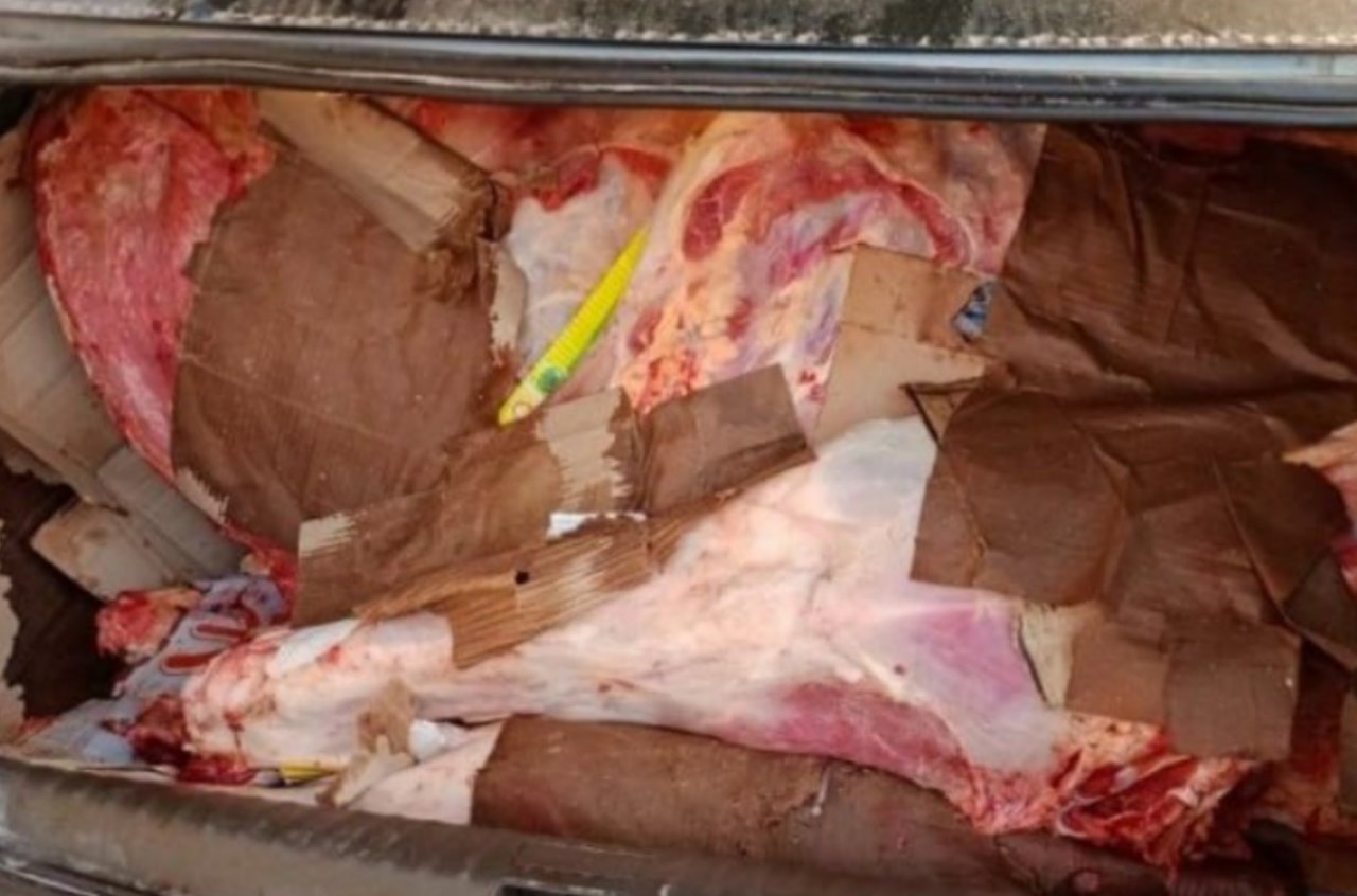 В Джизаке пресекли перевозку полтонны непригодного мяса из Кашкадарьи в Ташкент