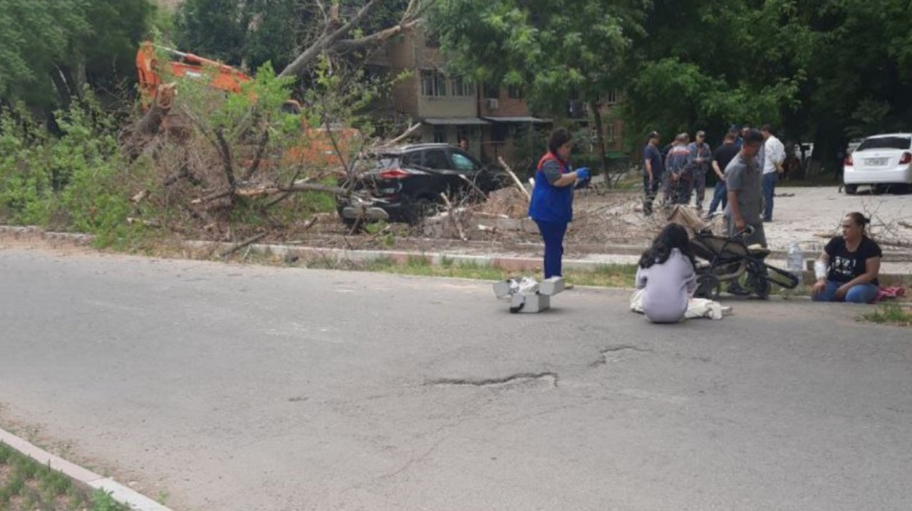 В Ташкенте в результате падения дерева скончался годовалый ребёнок