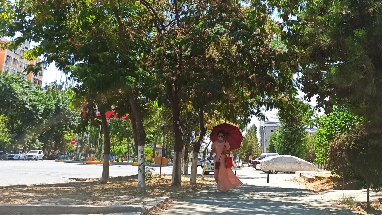 Опубликован прогноз погоды в Узбекистане на начало следующей недели