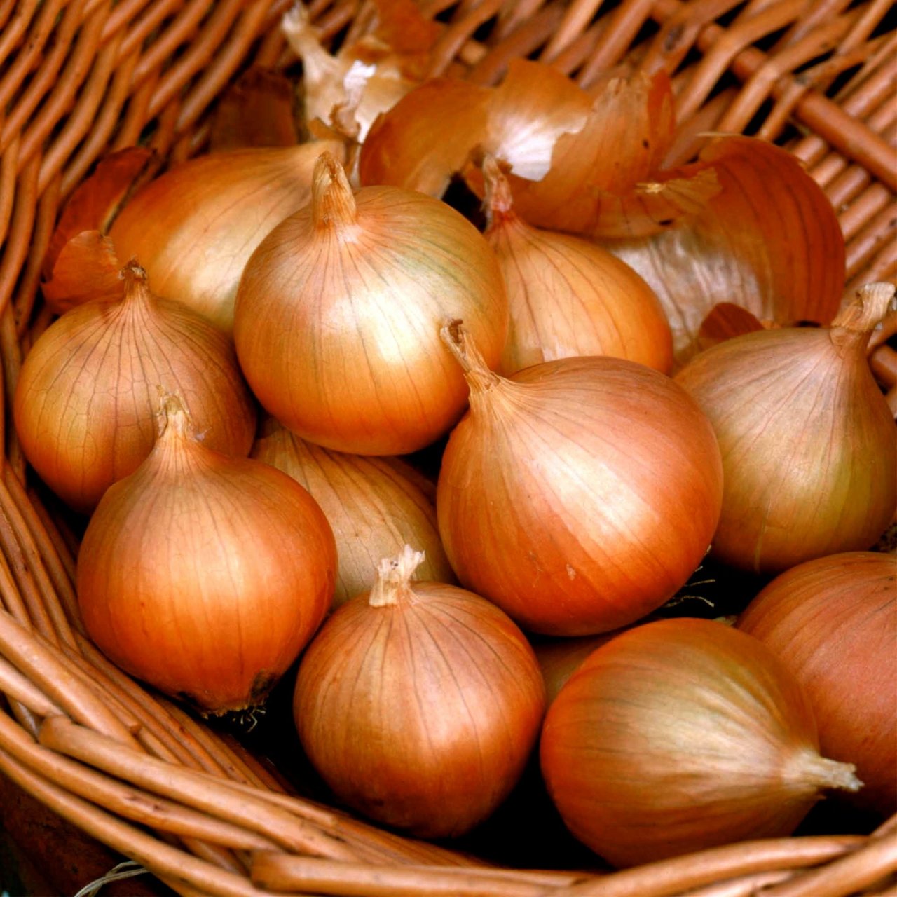 На Украине узбекский лук обвалил цены на рынке