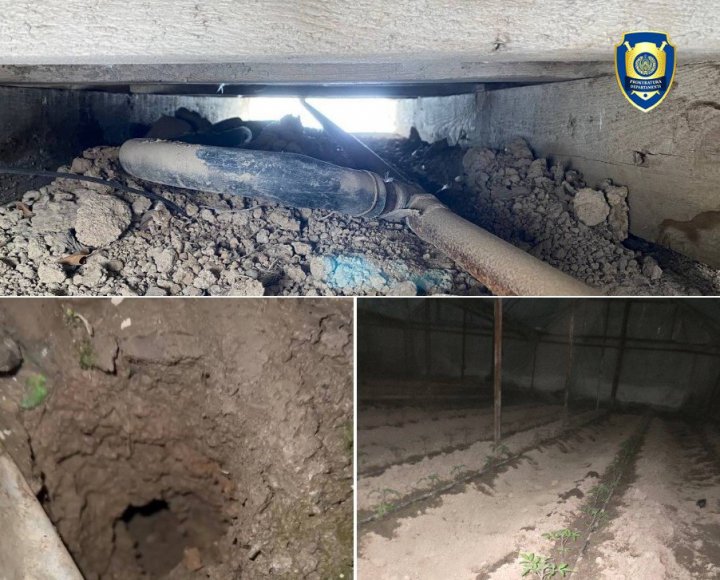 В Юнусабадском районе гражданин незаконно использовал природный газ почти на 600 млн сумов