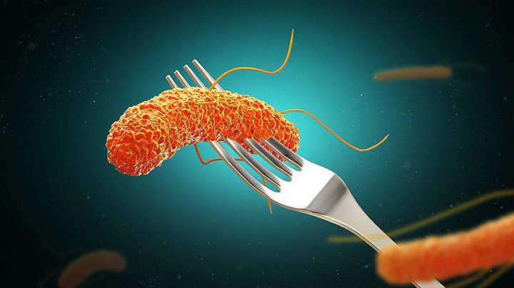 В Узбекистане за последние полтора года отравились более 700 человек