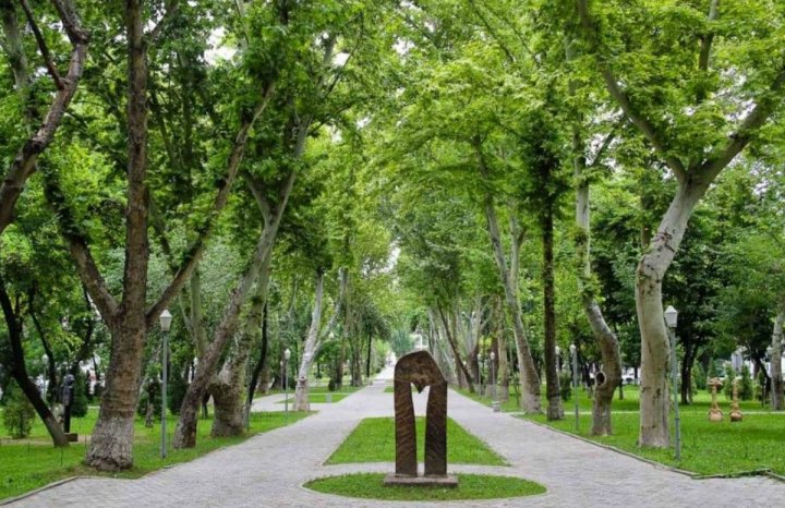 Узбекистан увеличит площадь зеленых зон к 2030 году