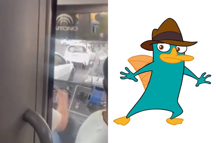 В Ташкенте водитель автобуса назвал пассажира утконосом — видео