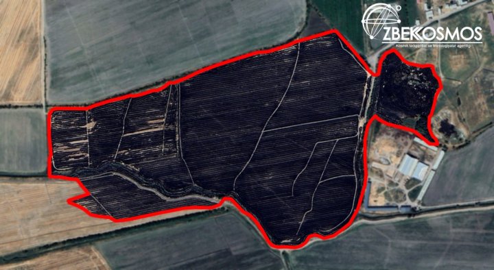 Космические спутники выявили почти 2 000 случаев незаконных поджогов на полях Узбекистана