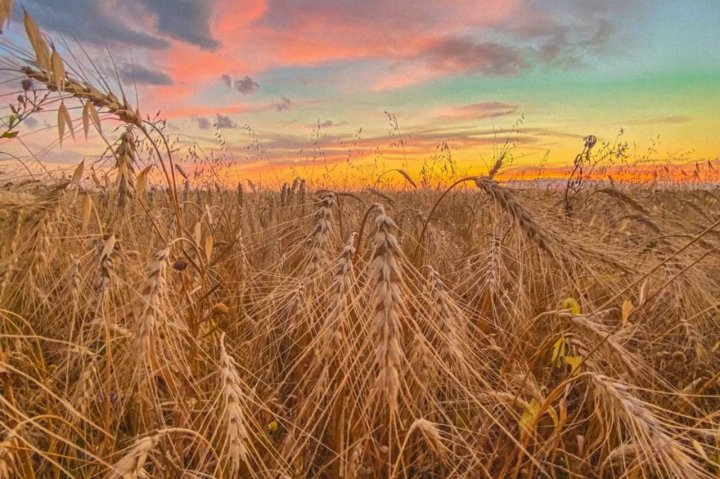 ООН: Юг Узбекистана находится на грани катастрофы