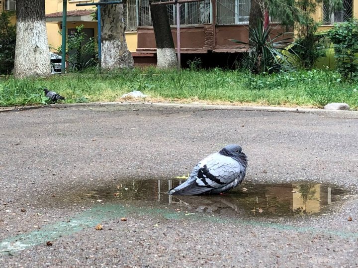 Опубликован прогноз погоды в Узбекистане на начало следующей недели
