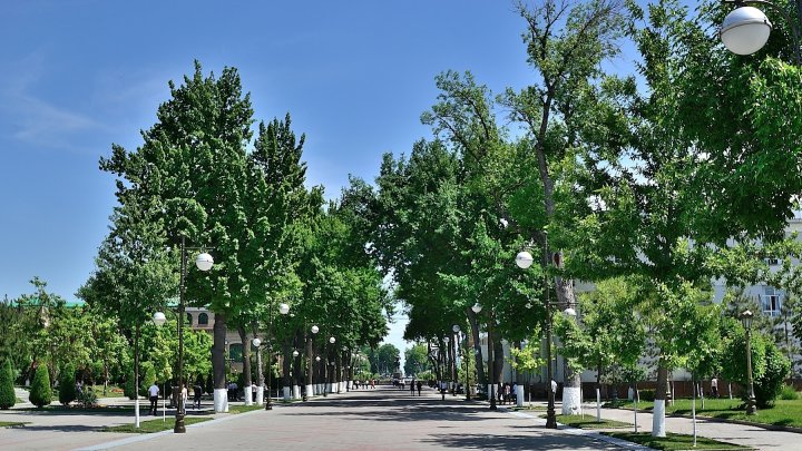 Опубликован прогноз погоды в Узбекистане на 10 июля