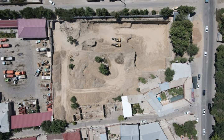 В Самарканде на стройке выкорчевали ценные деревья