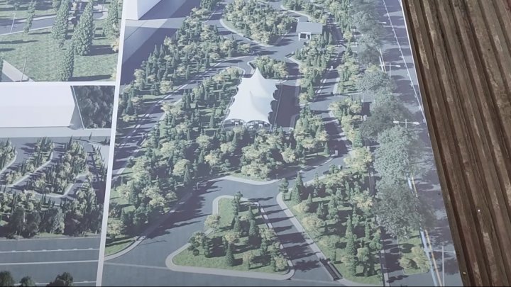 Стало известно, что произошло с деревьями в Юнусабадском районе