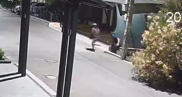 В Ташкенте двое мужчин надели маски и ночью срубили дерево - видео