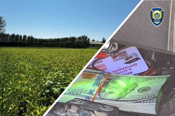 В Джизаке мошенник пытался продать государственную землю