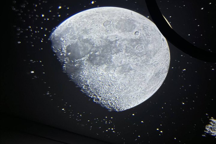 Узбекистанцы смогут увидеть редкое «Суперлуние» и «Голубую Луну»