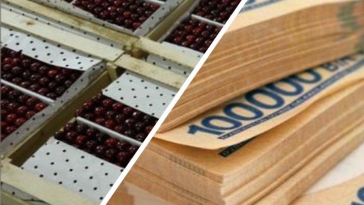 В Самаркандской области пострадал учредитель ООО, ущерб составил 11,7 млрд сумов