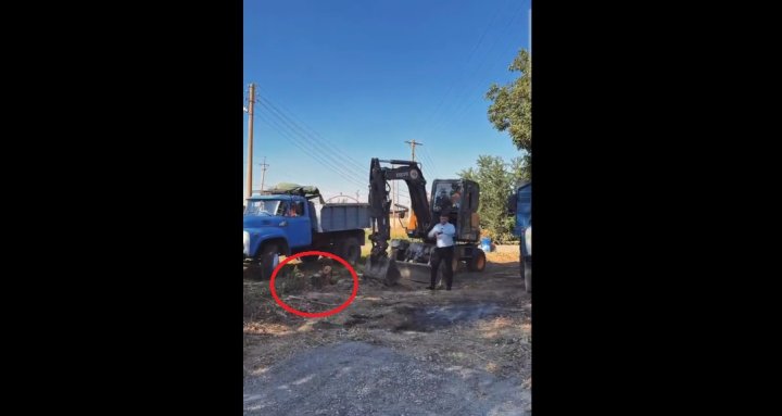 В Узбекистане строительная компания рекламирует свой объект, на котором вырублены все деревья - видео