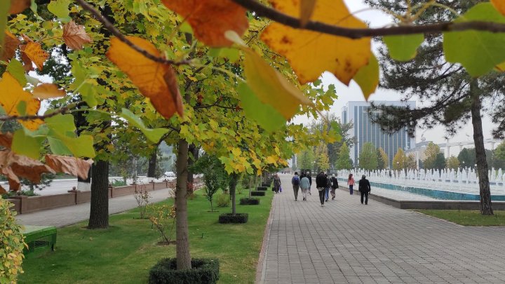 С какой погоды начнется сентябрь в Узбекистане?