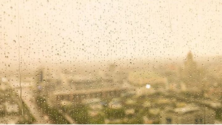 Стало известно, когда в Ташкенте ожидаются осадки