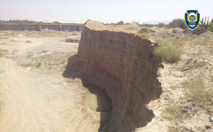 В Андижанской области предприниматель нанёс ущерб природе почти на 2 млрд сумов