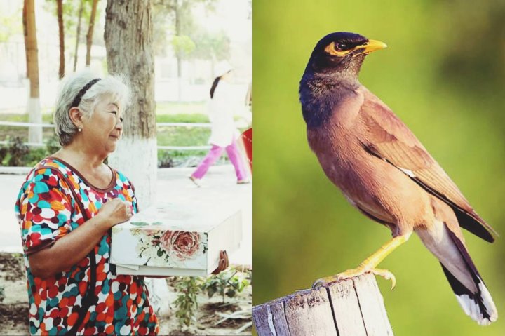 В Андижане женщина спасла майну от жажды — видео