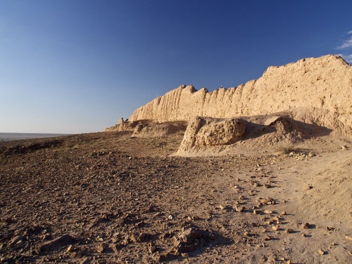 Узбекистан создаст климатический совет