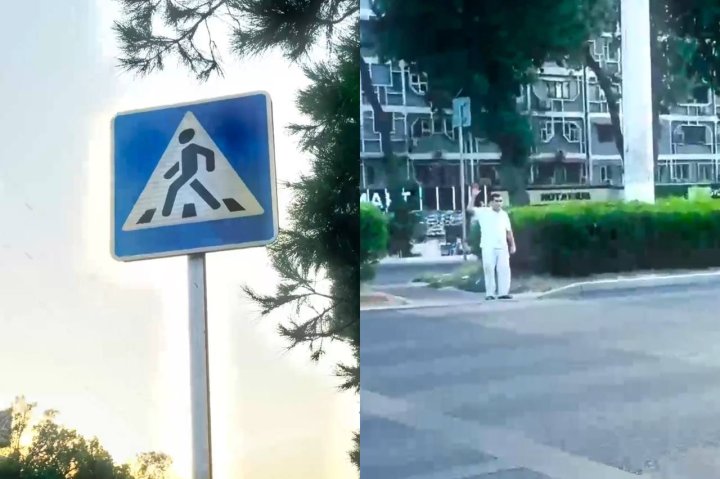 В УБДД Ташкента попросили пешеходов поднимать руку при пересечении нерегулируемых переходов — видео