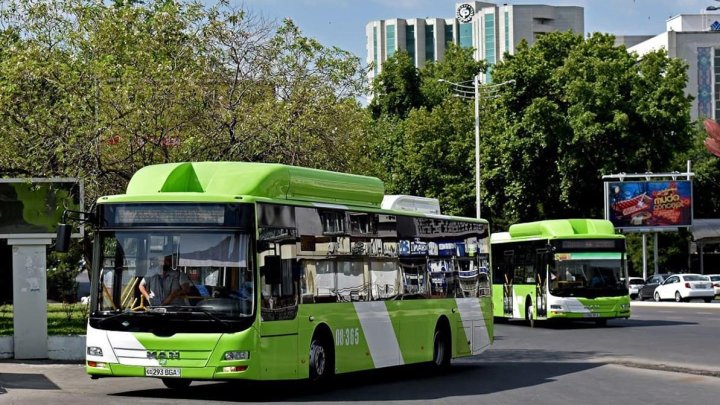 В Узбекистане одиноким пенсионерам позволят не платить за общественный транспорт