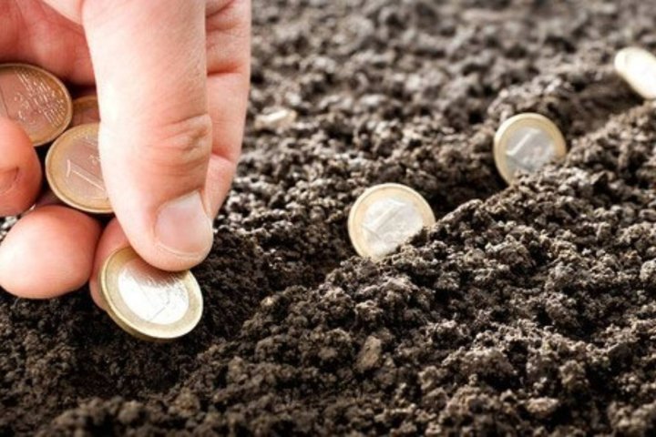 В Узбекистане инвесторам будут отдавать землю на полвека