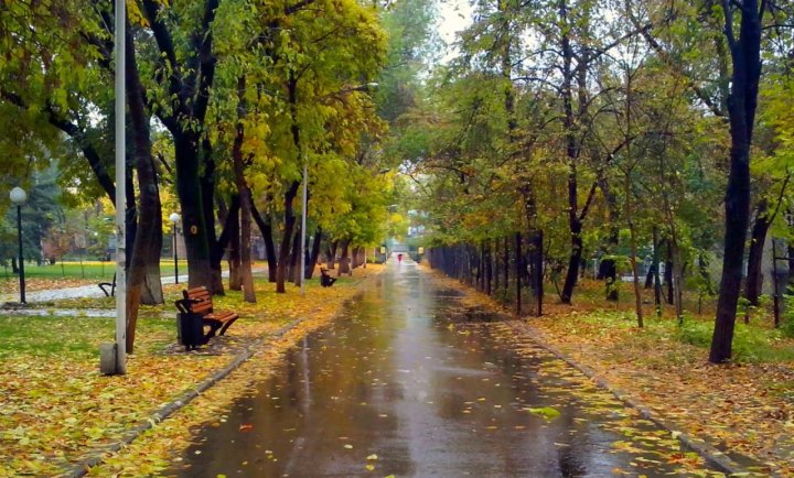 Узгидромет предупреждает о дождях и усилении ветра в Узбекистане