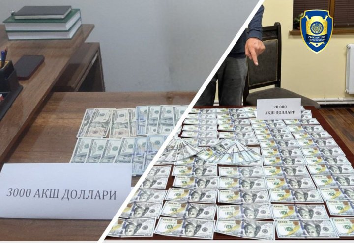 В Ангрене ранее судимый мужчины пытался незаконно продать земельный участок за 60 тыс. долларов