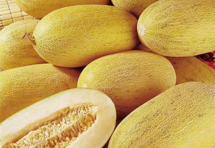 В Великобританию на системной основе впервые начат экспорт дыни из Узбекистана