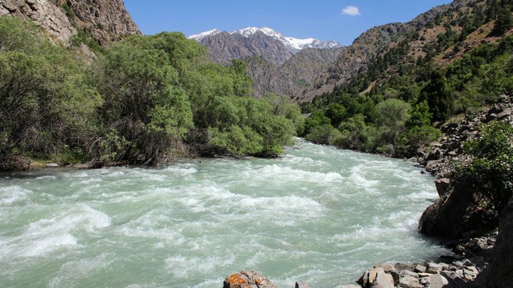 Германия поможет странам Центральной Азии решить проблему с водой
