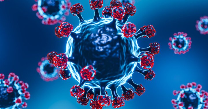 Ученые опасаются новой волны COVID-19 из-за штамма XEC