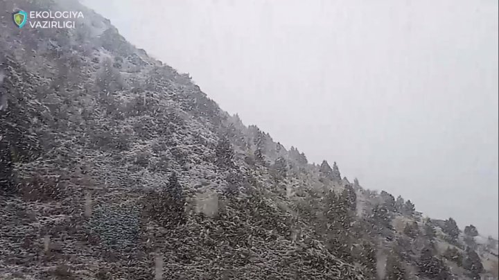 В Узбекистане выпал очередной снег — видео