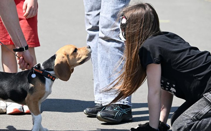 В Ташкенте ребёнок-квадробер напал на прохожего, имитируя собаку