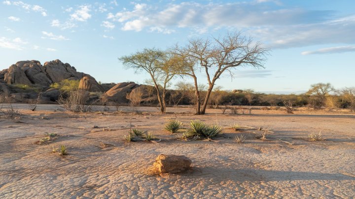 Узбекистан направит $50 млн на борьбу с опустыниванием