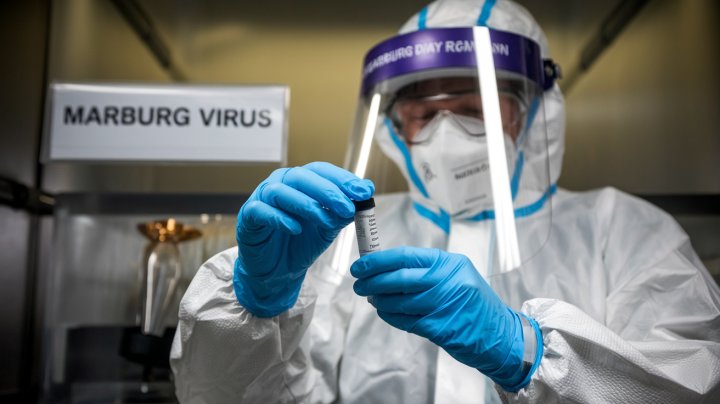 Узбекистан усиливает санитарные меры из-за угрозы Марбургской лихорадки