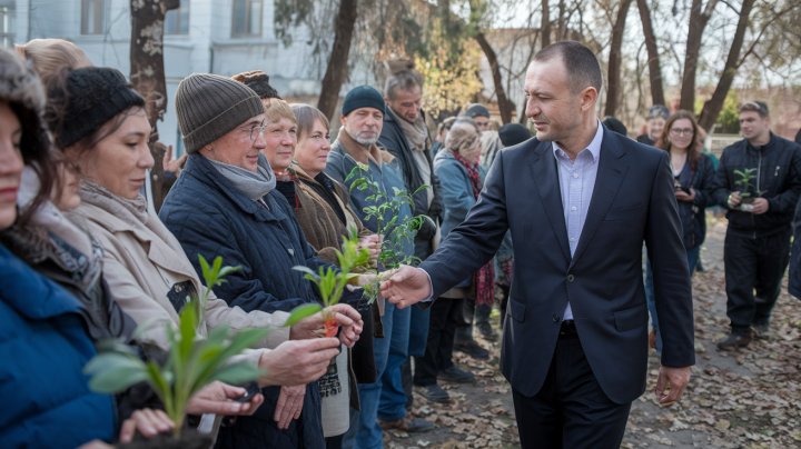 Малообеспеченным семьям Узбекистана помогут саженцами