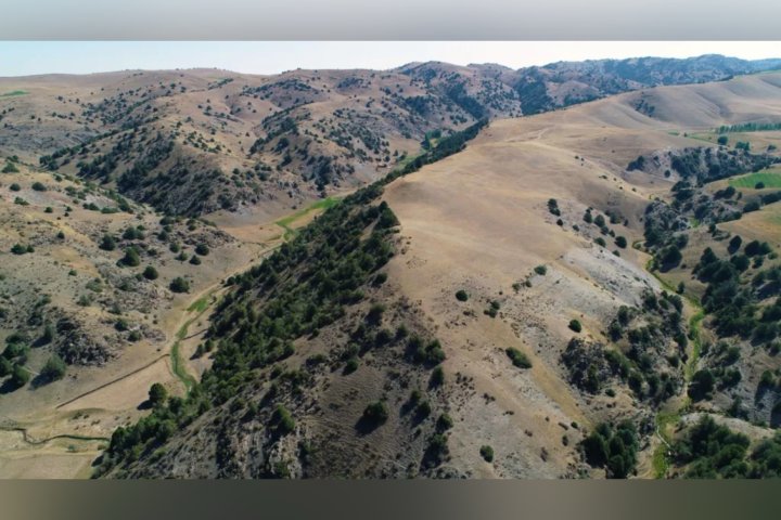 В горах Узбекистана обнаружили два затерянных города Шёлкового пути