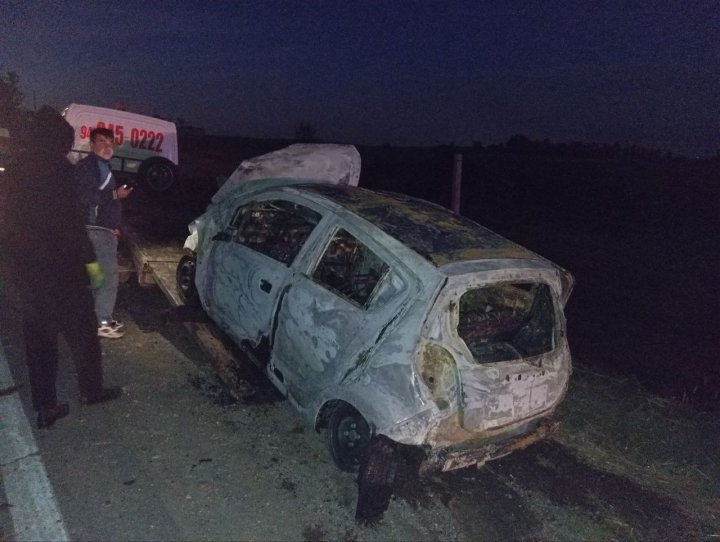 В Ташобласти произошло ДТП, в результате которого погибли 22 барана