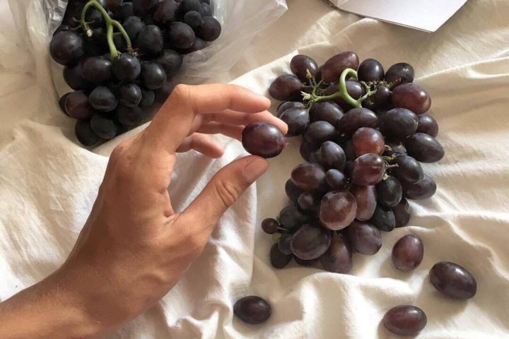 Еженедельно 3-4 тонны узбекского винограда будут поставляться в США