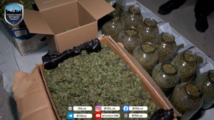 В Учтепинском районе задержали торговца марихуаной