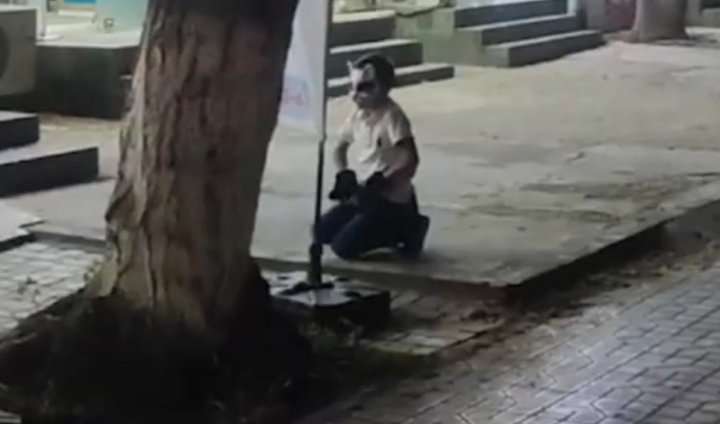 В Ташкенте появились квадроберы – видео