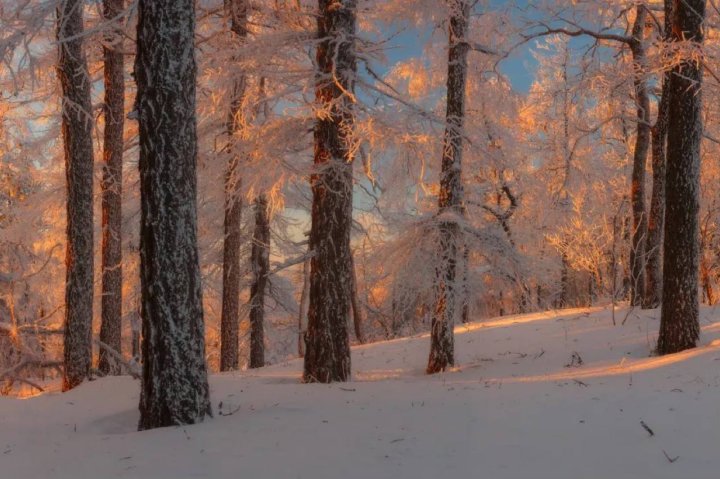 Хоким Ташкента оценил готовность столицы к зиме