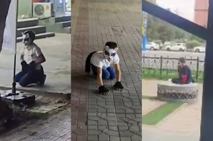 В Узбекистане квадроберов будут отправлять на психологическое обследование