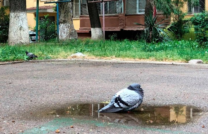 Дождливые выходные ожидают жителей Узбекистана