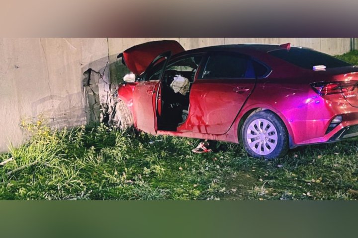 «Игрушки для взрослых и вазелин»: В России узбекистанцы под наркотиками врезались в бетонную стену, есть погибший