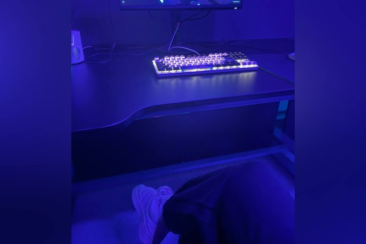 Стало известно, у скольких граждан Узбекистана есть компьютер