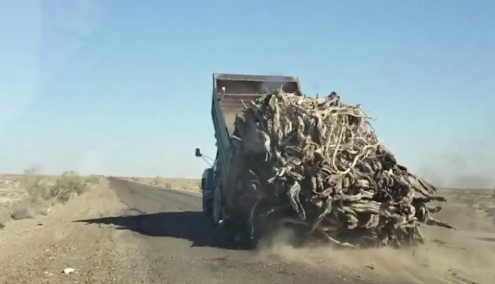 В Бухарской области экоинспекторы подверглись нападению со стороны браконьеров