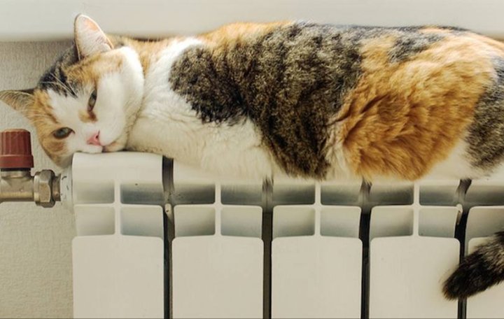 Ташкентцам объяснили причины повышения тарифов на горячую воду и отопление